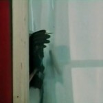 Einmal Luft rauslassen, bitte